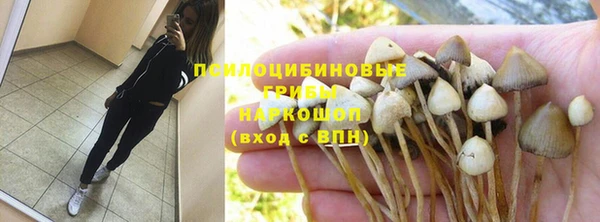 бутират Алзамай